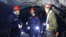 2025新老澳门原料网站