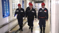 2025新老澳门原料网站