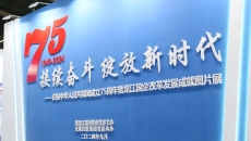 2025新老澳门原料网站