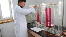 2025新老澳门原料网站