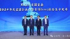 2025新老澳门原料网站