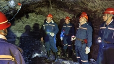 2025新老澳门原料网站