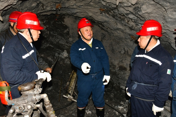 2025新老澳门原料网站